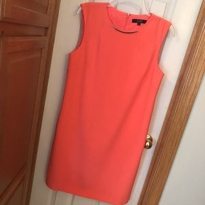 Alex Marie NEVER WORN Coral Sheath dress